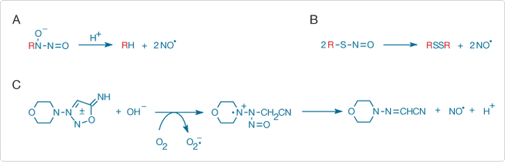probes-nitric-oxide.par.20982.image.725.234.1.s000285-deano-spermine-nonoate-gif probes-nitric-oxide.par.20982.image.725.234.1.s000285-deano-spermine-nonoate-gif