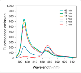 probes-lipid-metabolism.par.71625.image.275.247.1.s005696-fluorescence-emission-gif probes-lipid-metabolism.par.71625.image.275.247.1.s005696-fluorescence-emission-gif