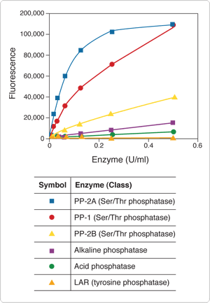 probes-protein-kinases.par.22877.image.300.433.1.s002398-threonine-phosphatase-assay-kit-gif probes-protein-kinases.par.22877.image.300.433.1.s002398-threonine-phosphatase-assay-kit-gif