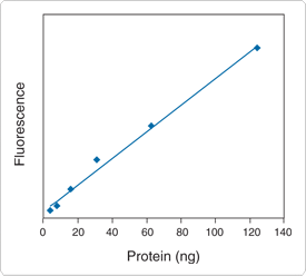 detection-total-protein-profile.par.79549.image.275.248.1.s001714-bodipy-blot-stain-gif detection-total-protein-profile.par.79549.image.275.248.1.s001714-bodipy-blot-stain-gif