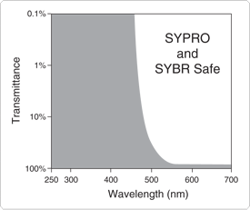 detection-total-protein-profile.par.49966.image.275.231.1.s001545-sybr-safe-photographic-filter-gif detection-total-protein-profile.par.49966.image.275.231.1.s001545-sybr-safe-photographic-filter-gif