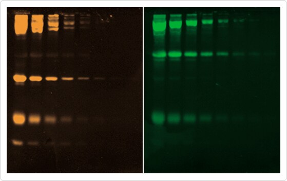 multiplexed-proteomics-technology.par.98265.image.559.352.1.s001858-glycoproteins-gif multiplexed-proteomics-technology.par.98265.image.559.352.1.s001858-glycoproteins-gif