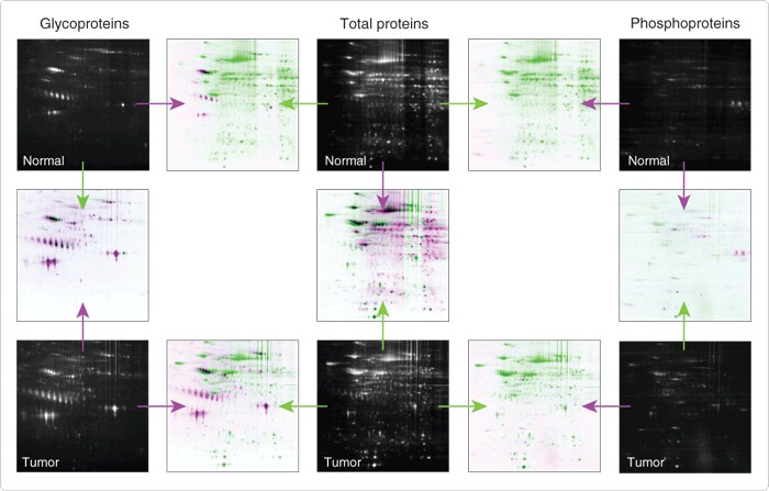 multiplexed-proteomics-technology.par.45425.image.700.447.1.s002099-multiplexed-proteomics-gif multiplexed-proteomics-technology.par.45425.image.700.447.1.s002099-multiplexed-proteomics-gif