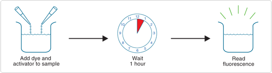 quantitation-selective-purification.par.62157.image.559.151.1.s001478-protein-quantitation-kit-gif quantitation-selective-purification.par.62157.image.559.151.1.s001478-protein-quantitation-kit-gif