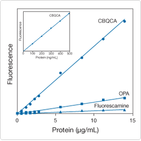 quantitation-selective-purification.par.83269.image.275.275.1.s000183-fluorometric-bovine-serum-gif quantitation-selective-purification.par.83269.image.275.275.1.s000183-fluorometric-bovine-serum-gif