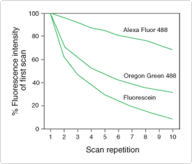 thiol-reactive-probes-visible-light.par.98344.image.275.236.1.s002094-photobleaching-gif thiol-reactive-probes-visible-light.par.98344.image.275.236.1.s002094-photobleaching-gif