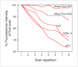 thiol-reactive-probes-visible-light.par.91857.image.275.236.1.s002095-photobleaching-gif thiol-reactive-probes-visible-light.par.91857.image.275.236.1.s002095-photobleaching-gif