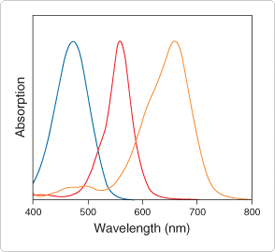 thiol-reactive-probes-visible-light.par.20496.image.275.252.1.s001518-normalized-adsorption-gif thiol-reactive-probes-visible-light.par.20496.image.275.252.1.s001518-normalized-adsorption-gif