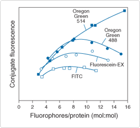 thiol-reactive-probes-visible-light.par.72622.image.275.252.1.s000112-comparison-of-relative-fluorescence-gif thiol-reactive-probes-visible-light.par.72622.image.275.252.1.s000112-comparison-of-relative-fluorescence-gif