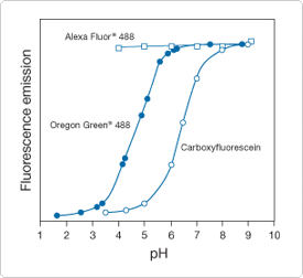thiol-reactive-probes-visible-light.par.79911.image.275.252.1.s000114-comparison-ofph-dependent-fluorescence-gif thiol-reactive-probes-visible-light.par.79911.image.275.252.1.s000114-comparison-ofph-dependent-fluorescence-gif