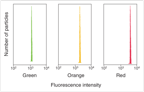 flow-cytometry.par.26561.image.480.307.1.s001053-alignflow-plus-beads-gif flow-cytometry.par.26561.image.480.307.1.s001053-alignflow-plus-beads-gif