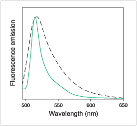 flow-cytometry.par.54287.image.275.254.1.s000638-flow-cytometry-reference-beads-gif flow-cytometry.par.54287.image.275.254.1.s000638-flow-cytometry-reference-beads-gif
