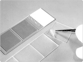 fluorescence-microscopy.par.26222.image.275.206.1.s001318-hybridslip-gif fluorescence-microscopy.par.26222.image.275.206.1.s001318-hybridslip-gif