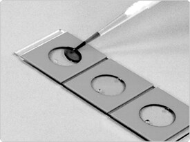 fluorescence-microscopy.par.18445.image.275.206.1.s001131-hybridization-chambers-gif fluorescence-microscopy.par.18445.image.275.206.1.s001131-hybridization-chambers-gif