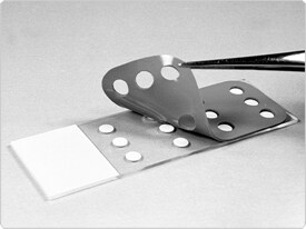 fluorescence-microscopy.par.24507.image.275.206.1.s001205-multi-wells-gif fluorescence-microscopy.par.24507.image.275.206.1.s001205-multi-wells-gif