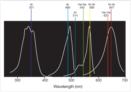 fluorescence-microscopy.par.75165.image.460.324.1.s000972-excitation-spectra-dyes-gif fluorescence-microscopy.par.75165.image.460.324.1.s000972-excitation-spectra-dyes-gif