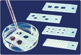 fluorescence-microscopy.par.1653.image.275.186.1.s001808-culturewell-coverslips-gif fluorescence-microscopy.par.1653.image.275.186.1.s001808-culturewell-coverslips-gif