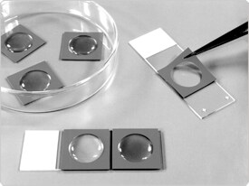fluorescence-microscopy.par.64968.image.275.206.1.s000866-silicone-isolators-gif fluorescence-microscopy.par.64968.image.275.206.1.s000866-silicone-isolators-gif