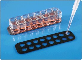 fluorescence-microscopy.par.34762.image.275.202.1.s002226-culturewell-gif fluorescence-microscopy.par.34762.image.275.202.1.s002226-culturewell-gif