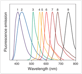 microspheres.par.77146.image.275.247.1.s001058-fluospheres-beads-gif microspheres.par.77146.image.275.247.1.s001058-fluospheres-beads-gif