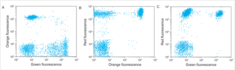 phycobiliproteins.par.29443.image.750.226.1.s001861-alexa-fluor-488-dye-gif phycobiliproteins.par.29443.image.750.226.1.s001861-alexa-fluor-488-dye-gif