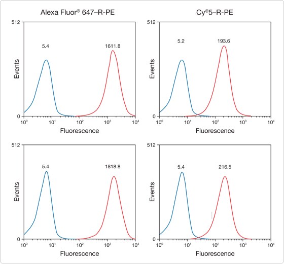 phycobiliproteins.par.28313.image.560.523.1.s001757-immunofluorescent-staining-gif phycobiliproteins.par.28313.image.560.523.1.s001757-immunofluorescent-staining-gif