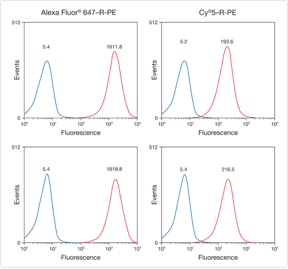 phycobiliproteins.par.28313.image.560.523.1.s001757-immunofluorescent-staining-gif phycobiliproteins.par.28313.image.560.523.1.s001757-immunofluorescent-staining-gif