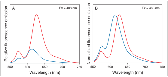 phycobiliproteins.par.28973.image.559.257.1.s001851-alexa-fluor-610-r-phycoerythrin-streptavidin-gif phycobiliproteins.par.28973.image.559.257.1.s001851-alexa-fluor-610-r-phycoerythrin-streptavidin-gif