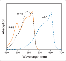 phycobiliproteins.par.97638.image.275.256.1.s000137-absorption-spectra-gif phycobiliproteins.par.97638.image.275.256.1.s000137-absorption-spectra-gif