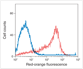 phycobiliproteins.par.1559.image.275.231.1.s001803-labeled-anti-fluorescein-gif phycobiliproteins.par.1559.image.275.231.1.s001803-labeled-anti-fluorescein-gif