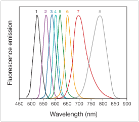 qdot-nanocrystals.par.80329.image.275.243.1.s007748-qdot-pan-em-gif qdot-nanocrystals.par.80329.image.275.243.1.s007748-qdot-pan-em-gif