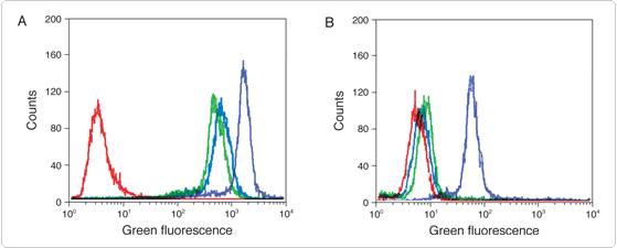tyramide-signal-amplification.par.36965.image.559.225.1.s001668-detection-epidermal-growth-factor-gif tyramide-signal-amplification.par.36965.image.559.225.1.s001668-detection-epidermal-growth-factor-gif