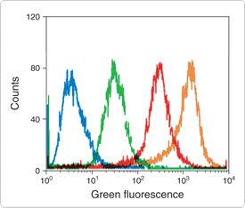 tyramide-signal-amplification.par.47132.image.275.234.1.s001726-tyramide-signal-amplification-gif tyramide-signal-amplification.par.47132.image.275.234.1.s001726-tyramide-signal-amplification-gif