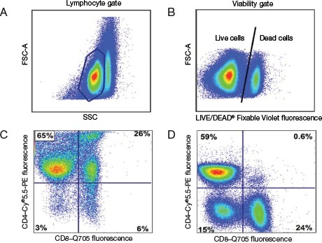 Exclusion of dead cells eliminates staining artifacts from analysis 4 panel scatter plots showing that exclusion of dead cells eliminates staining artifacts from analysis