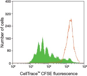 Cell proliferation analysis Cell proliferation analysis with the ellTrace CFSE Cell Proliferation Kit