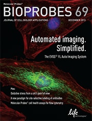 BioProbes 69 cover BioProbes 69 cover