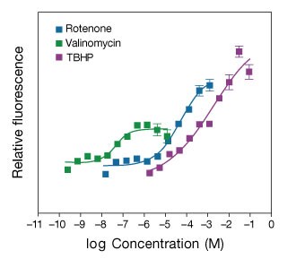 利用 MitoSOX Red 线粒体超氧化物指示剂检测 PD-3 NSC 中的氧化应激 显示 PD-3 NSC 中氧化应激检测结果的折线图