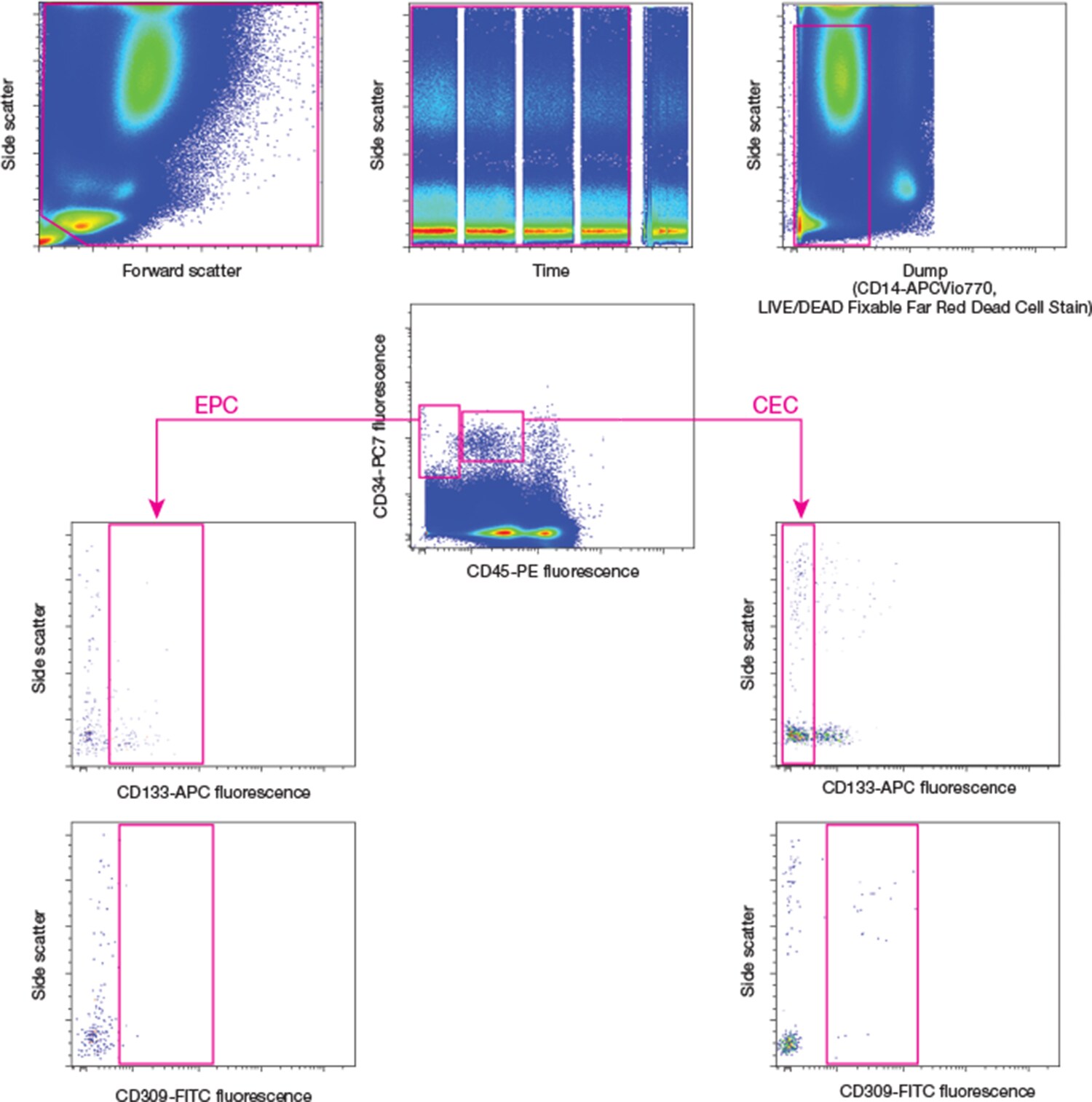 s008454-bp73-journal-club-2 s008454-bp73-journal-club-2