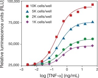 High-throughput screening with the TurboLuc luciferase assay High-throughput screening with the TurboLuc luciferase assay