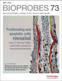 BioProbes 73 image of BioProbes 73 cover