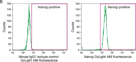 Histograms of iPSCs analyzed by flow cytometry Histograms of iPSCs analyzed by flow cytometry