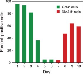 Summary of cell populations over the 10-day cardiomyocyte differentiation Summary of cell populations over the 10-day cardiomyocyte differentiation