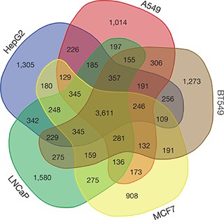 antibody-validation-fig2b antibody-validation-fig2b