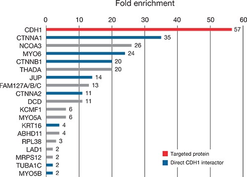 antibody-validation-fig3a antibody-validation-fig3a