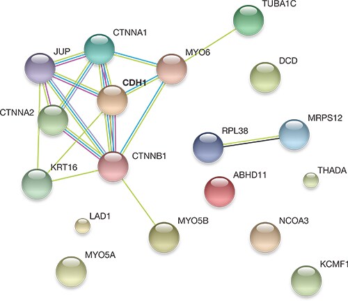 antibody-validation-fig3b antibody-validation-fig3b