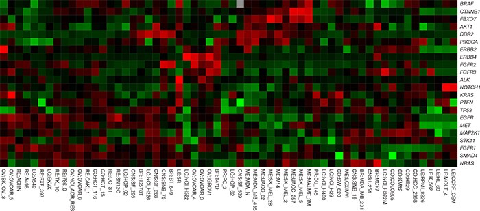 antibody-validation-fig2a antibody-validation-fig2a