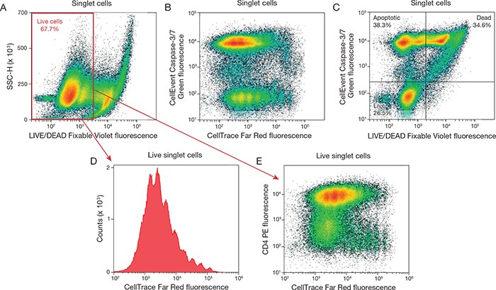 cancer-attune-fig4 cancer-attune-fig4