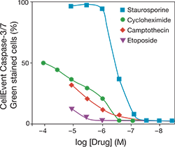 cancer-attune-fig1 cancer-attune-fig1