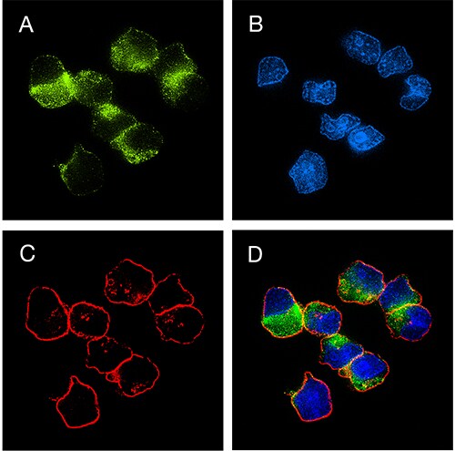 ImmuneCheck_Fig4v3 ImmuneCheck_Fig4v3