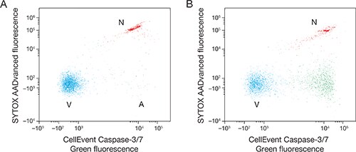 journalclub-apoptosis-fig1 journalclub-apoptosis-fig1